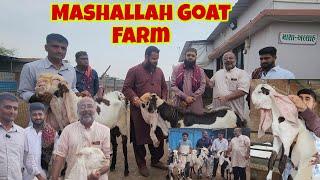 The Biggest Goat Farm Who Supported Whole Village | Documentary Mashallah Goat Farm Limbdi Gujarat