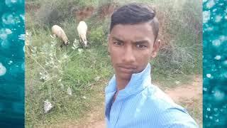 aravind vijay