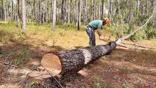 Old School Framing Lumber