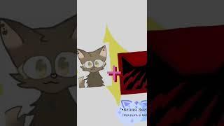 Я + кровавое племя.#рек #warriorcats #белаязвезда #котывоители #shorts