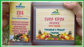 EM4 Effective Microorganism - CUKA KAYU ASLI / WOOD VINEGAR - #UNBOXING