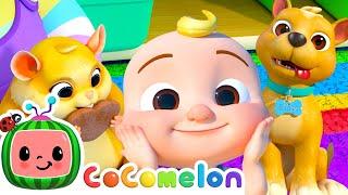 I love my pet! Pet Care Song | CoComelon Furry Friends | Animals for Kids