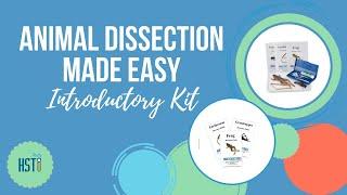 Homeschool Science | Animal Dissection Made Easy