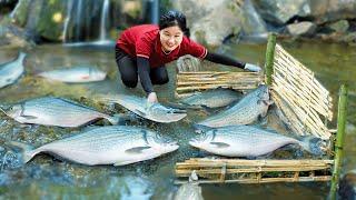 How to Catch 100kg of Fish, Trapping River Giants & Selling at the Market | Jolie Life