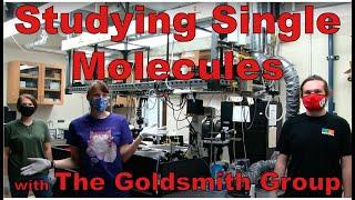 Studying Single Molecules with the Goldsmith Group