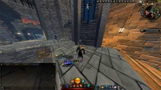 Гайд на Хила Благочестивца  #Neverwinter online | m18