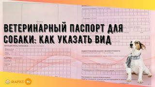 Ветеринарный паспорт для собаки: как указать вид