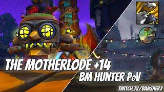 +14 Motherlode BM Hunter PoV