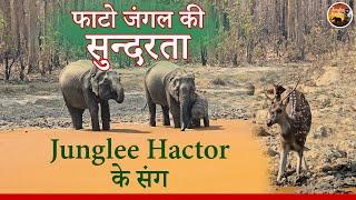 Jim Corbett | Phato Zone Animal Sighting | Junglee Hactor