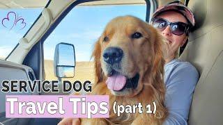 Tips for Travelling with a Service Dog (part 1) // Preparation, Logistics, Access Issues, & Mindset