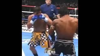 Buakaw Por. Pramuk's Insane  Kicks Muay Thai  