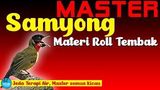 Master Roll Tembak Samyong