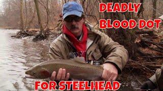 Steelhead on the DEADLY Blood Dot Fly