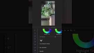 Master Premiere Pro Color Grading in Just 60 Seconds! #shorts #premierepro #editingtutorial
