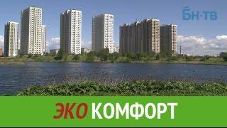 Юг Фрунзенского района: экологическая обстановка