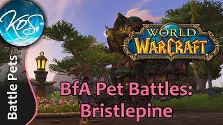 World of Warcraft: BRISTLEPINE - BfA Pet Battles - WoW Battle Pet Strategy