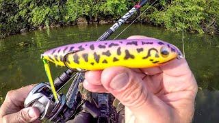 This Lure Got SMASHED!