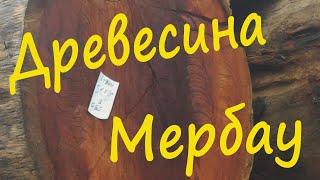 Древесина Мербау