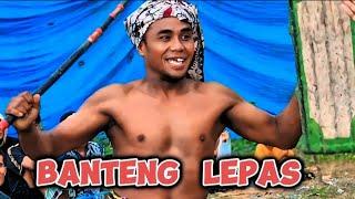 Pepadu Peresean Lombok Terheboh @Ternakdollar26