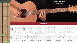 Blackbird Guitar Cover The Beatles |Tabs + Chords|