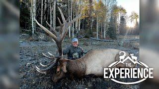 The Boulder Elk Experience with TJ Sanchez