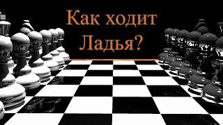 Шахматы для начинающих. Как ходит ладья?