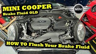 How To Perform A Brake Fluid Flush On 2015 BMW Mini Cooper D F55 / F56 / F57