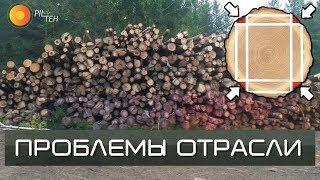 ПРОБЛЕМЫ в ЛЕСНОЙ отрасли в России. Что делать с тонкомером?