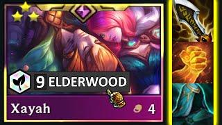 Full Crit Max Elderwood XAYAH! ⭐⭐⭐