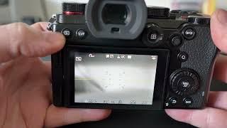 Shutter Count on Panasonic Lumix S5