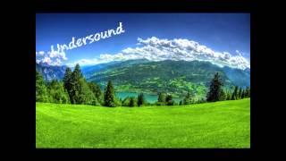 Undersound- Too Many Police