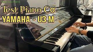 Test Piano Cơ Yamaha - U3M | Made In Japan | Tuấn Lưu Piano