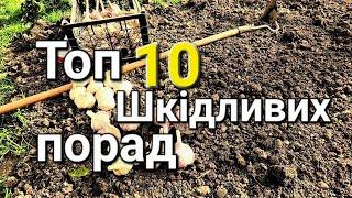 Посадка цибулі та часнику на зиму | Вирощування озимого часнику та цибулі@МояДачаСадГород