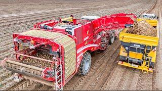 Kartoffelernte 2024 mit Grimme Varitron 470 + Fendt mit Brettmeister Kartoffel Überladewagen.