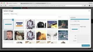 Best WooCommerce Theme AccessPress Store - How to Upload Payment Logo | WordPress Tutorial