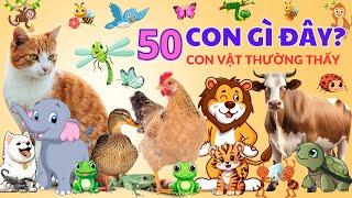  50 Con Vật cho Bé Nhận Biết Và Tập Nói: Con Gà, Lợn, Chó, Mèo, Con Bò, Hổ, Sư Tử, Sóc, Vẹt, Vịt