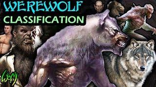 Every Type of Werewolf - Werewolf Classification