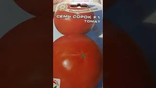 семь сорок.