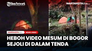 Heboh Video Sejoli Dalam Tenda di Bogor, Ini Tanggapan Plt Bupati