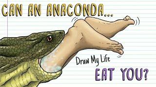 WHAT WOULD HAPPEN IF YOU WERE SWALLOWED BY AN ANACONDA? | Draw My Life
