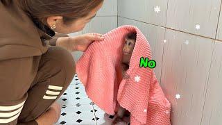 Baby monkey Tina refuses to take a bath because she is worried about the cold weather.