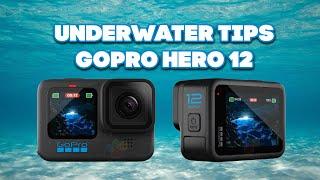 Underwater Tips | GoPro Hero 12