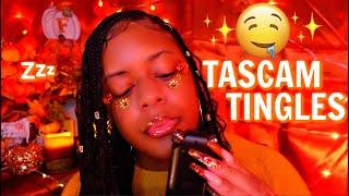 ASMR - INTENSE TASCAM TINGLES (EXTREME TINGLES DOWN YOUR SPINE!!)