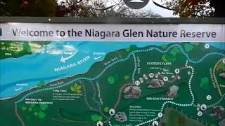 Niagara Glen Nature Reserve:Hiking & Bouldering...