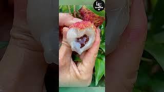 Farm fresh ninja fruit cutting #41 | Ly Chynh St  #shorts