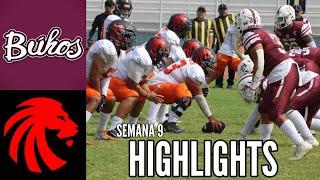 Búhos IPN vs Leones UAC (Highlights) | Semana 9 | Liga Mayor ONEFA 2024.