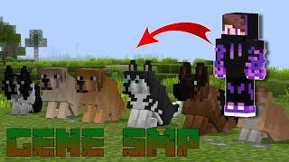 We Created A Dog Army | Gene SMP