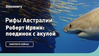 Рифы Австралии | Роберт Ирвин: поединок с акулой | Discovery