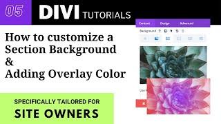 How to customize a section background and add overlay colour | Divi tutorial for beginners