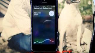 Siri говорит по русский. iOS 8.3 beta build 1